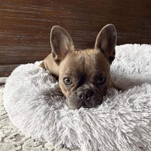 Charger l'image dans la galerie, Lit Apaisant Comfy® | Pour Chien et Chat