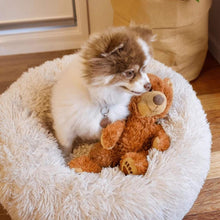 Charger l'image dans la galerie, Lit Apaisant Comfy® | Pour Chien et Chat