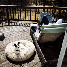 Charger l'image dans la galerie, Lit Apaisant Comfy® | Pour Chien et Chat
